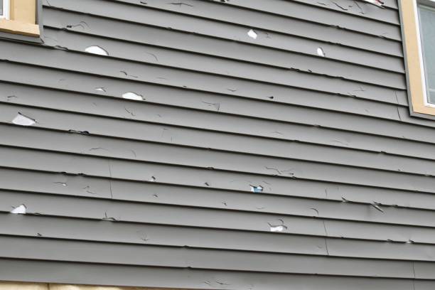 Best Construction Debris Removal  in Amory, MS